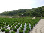 260508-s (14) 260508-s (14)