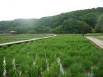 280511 (13)-s 280511 (13)-s