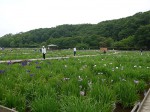 280606 (1)-s 280606 (1)-s