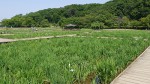 290529 (1)-s 290529 (1)-s
