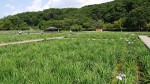 290602 (1)-s 290602 (1)-s