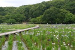 300612 (1) 300612 (1)